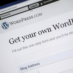 Wordpress website