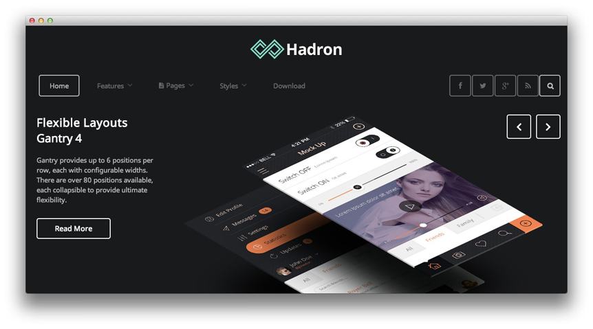 Hadron